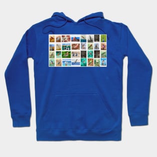 Birds from around the world Hoodie